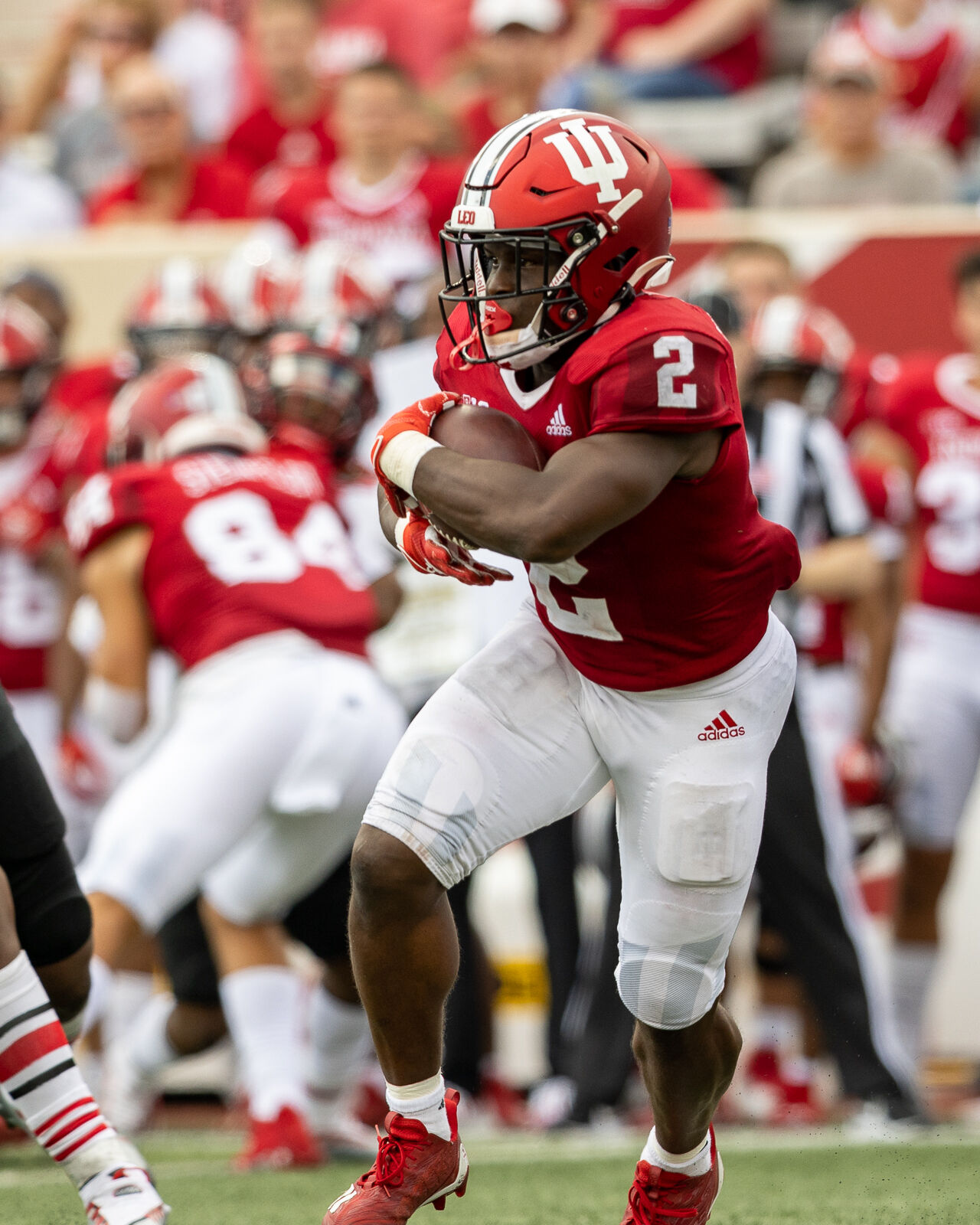 September 17, 2022_Football-IU vs Western Kentucky_by_Tony Vasquez_20_NUVO.jpg